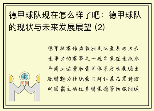 德甲球队现在怎么样了吧：德甲球队的现状与未来发展展望 (2)